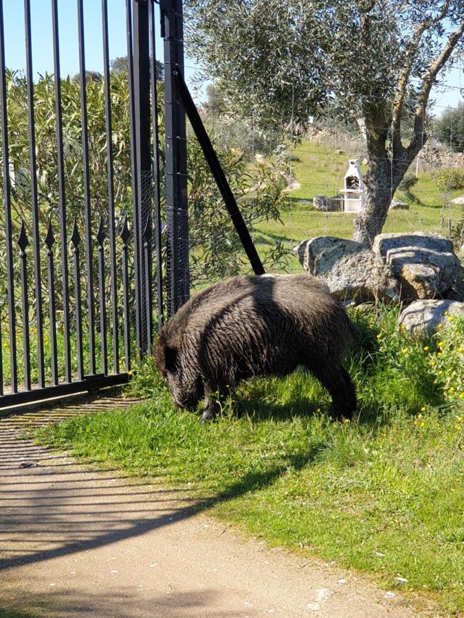 El Huesped Del Sevillano Ar Lagartera Εξωτερικό φωτογραφία